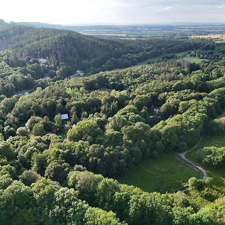 Ferienwohnung Im Logierhaus Villa Ihler Luisenthal エクステリア 写真