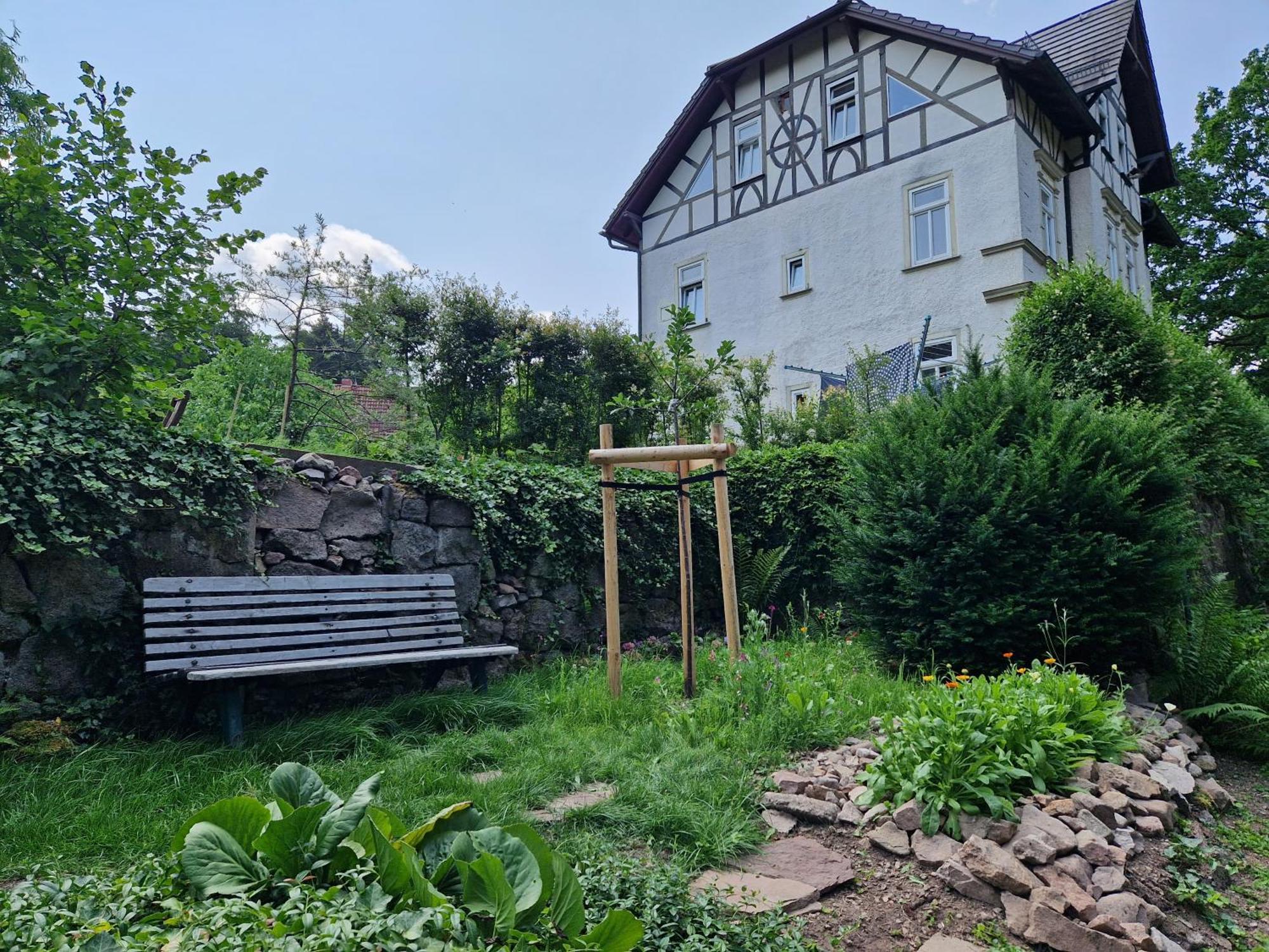 Ferienwohnung Im Logierhaus Villa Ihler Luisenthal エクステリア 写真
