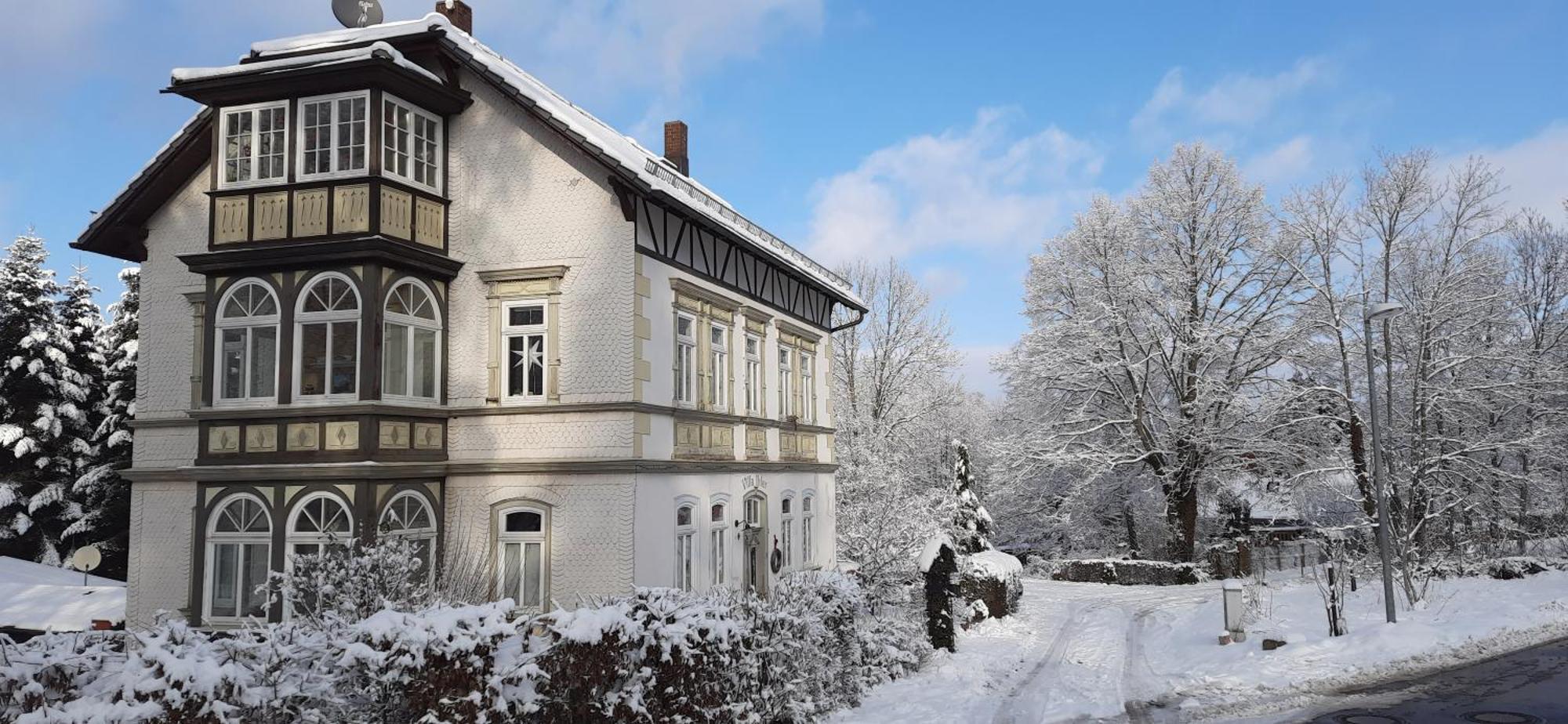 Ferienwohnung Im Logierhaus Villa Ihler Luisenthal エクステリア 写真