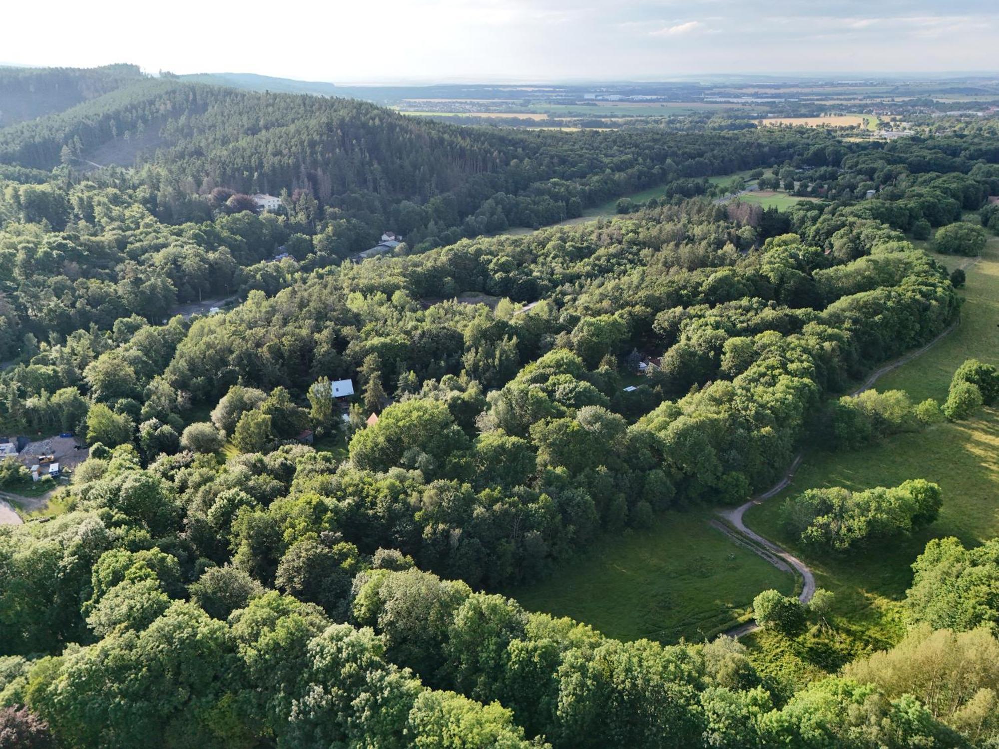 Ferienwohnung Im Logierhaus Villa Ihler Luisenthal エクステリア 写真
